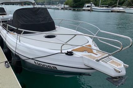 Ranieri Shadow 28