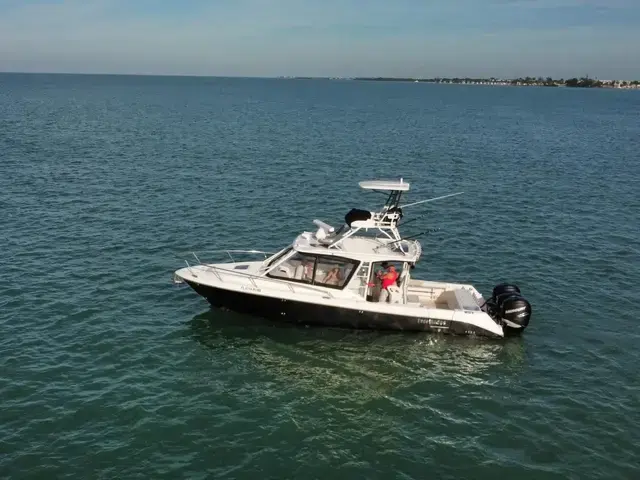 Everglades 350 Lx