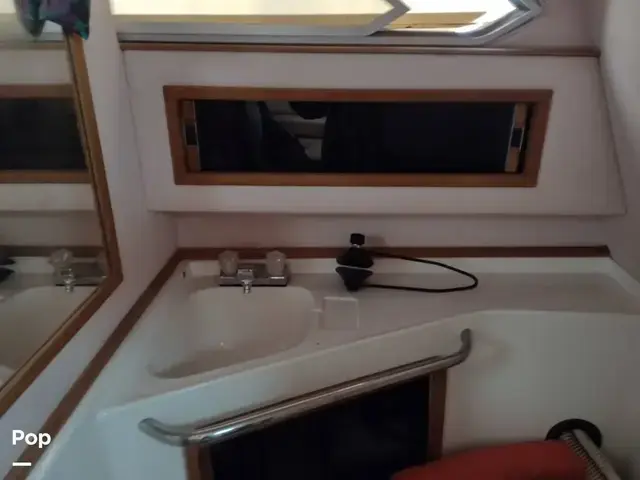 Sea Ray Sundancer 260