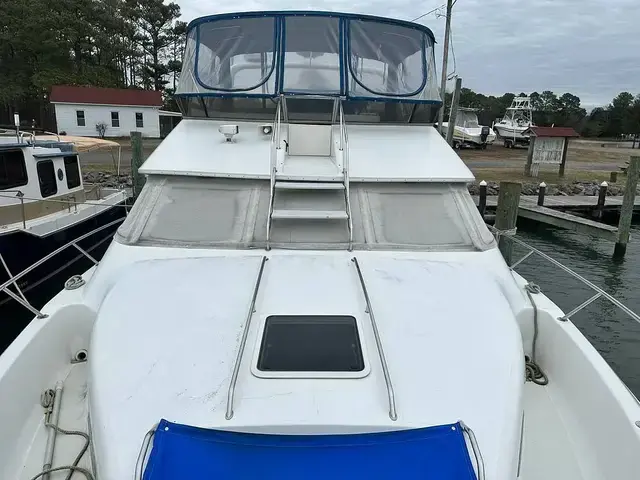 Sea Ray 440 Express Bridge