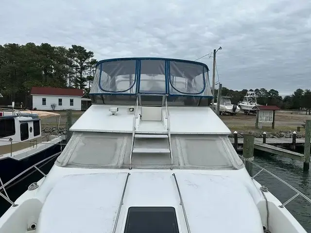 Sea Ray 440 Express Bridge