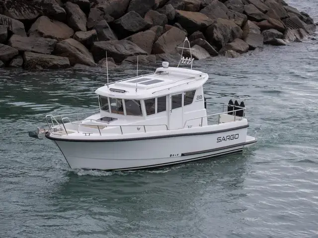 Sargo 28