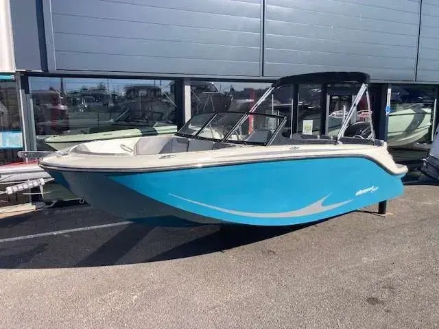 Bayliner ELEMENT M19