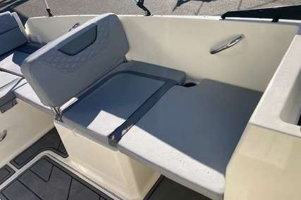 Bayliner ELEMENT M19