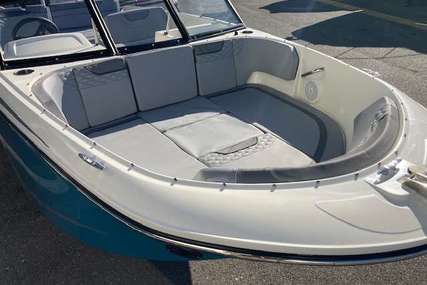 Bayliner ELEMENT M19