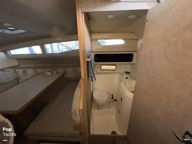 Bayliner 2855 Ciera