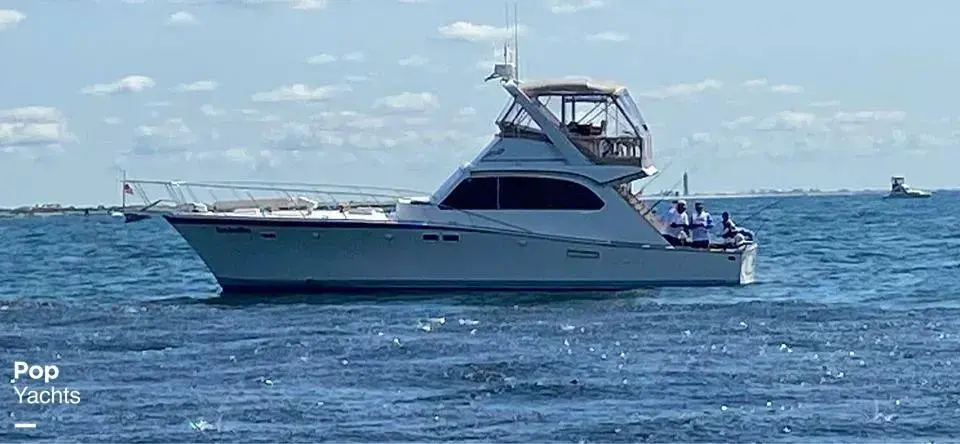 Viking 46