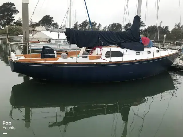 Islander 37