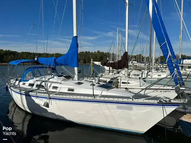 Hunter 34