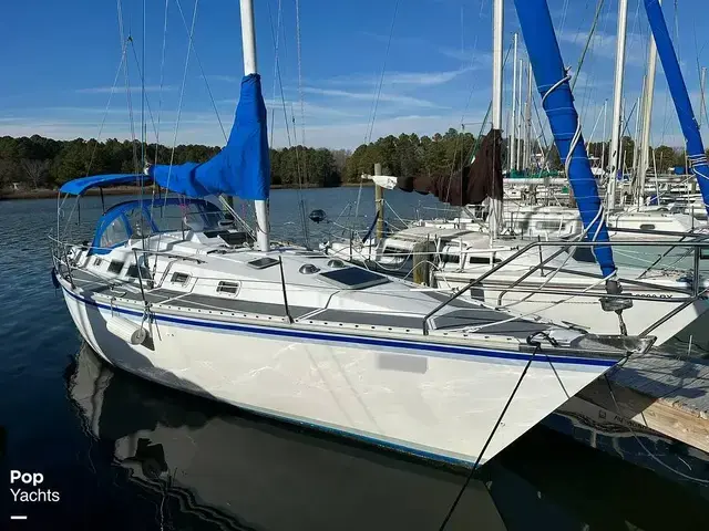 Hunter 34