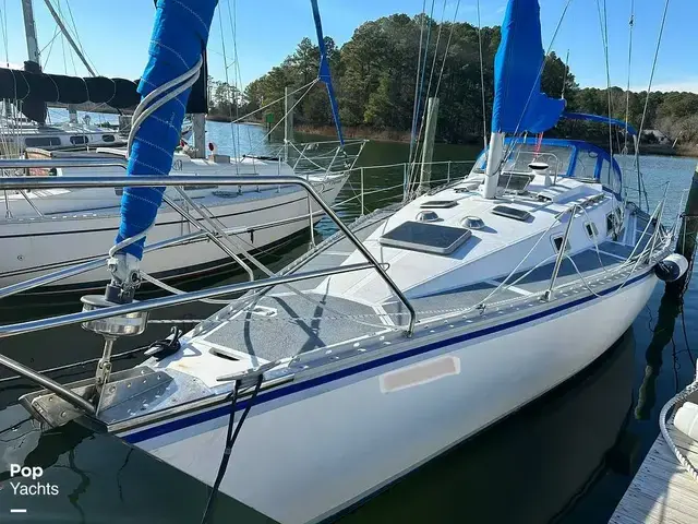 Hunter 34