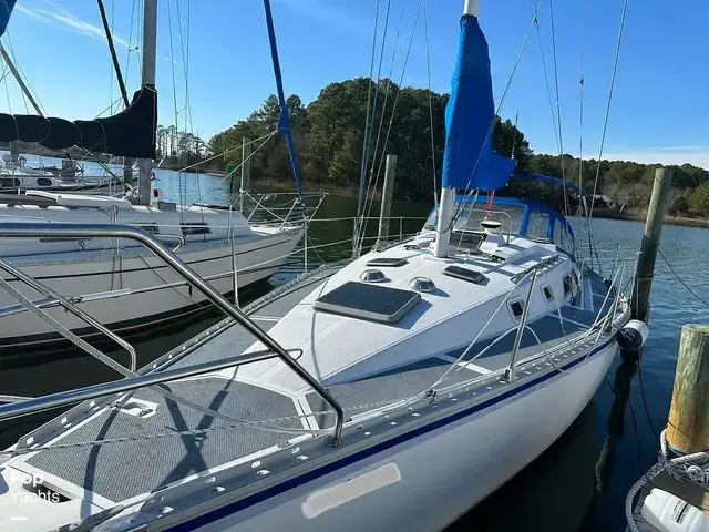 Hunter 34