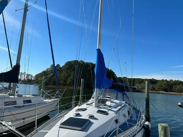 Hunter 34