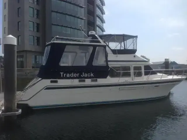 Trader 445