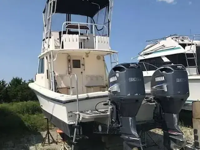 Atlantic Dive Boat