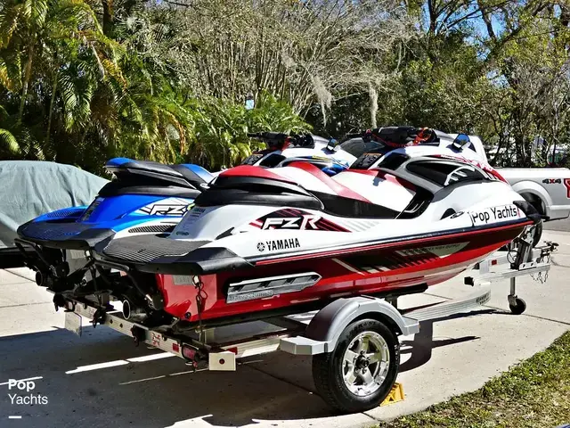 Yamaha Fzr & Fzs