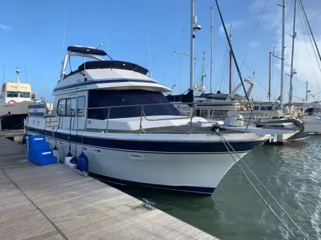 Trader 44 Rivarama