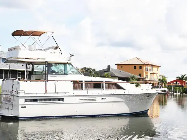 Bertram 42 Motor Yacht