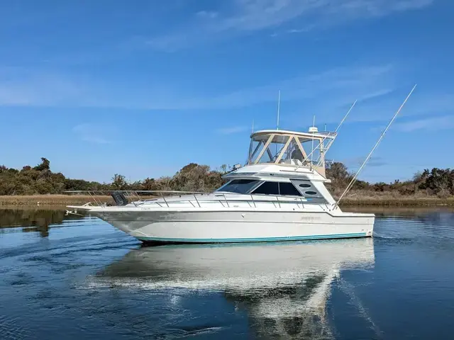 Sea Ray 430 Convertible Sportfish