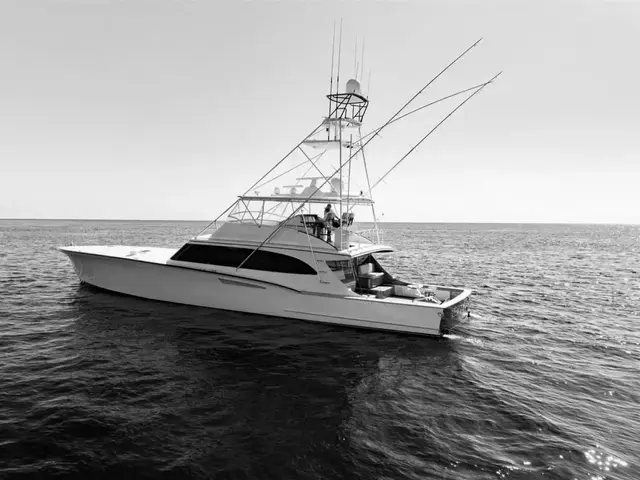 Jim Smith Convertible Sportfish