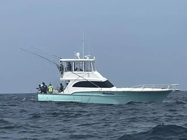 Carolina Skiff Lewis Brothers 54 Flybridge S-F