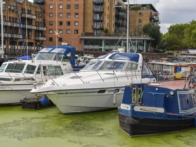 Sealine 365 Sports Cruiser