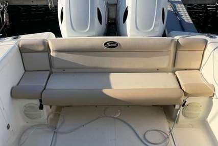 Scout Boat SCOUT 242 ABACO