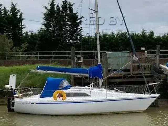 Hunter Delta 25