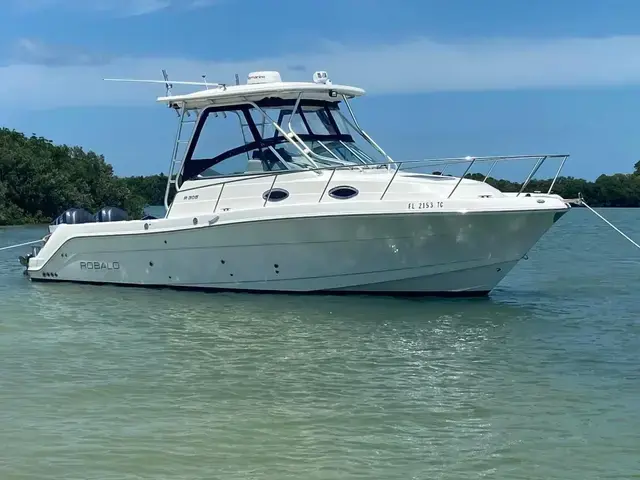 Robalo 305 Walkaround