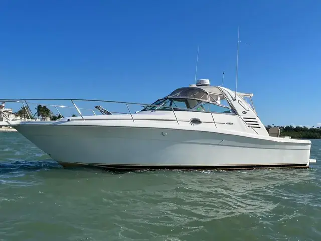 Sea Ray 340 Amberjack