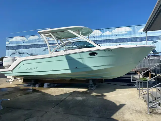 Robalo R317 Dual Console