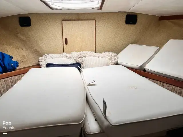 Trojan 36 Tri Cabin