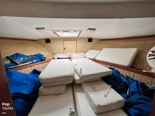 Trojan 36 Tri Cabin