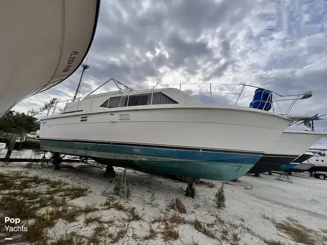 Trojan 36 Tri Cabin