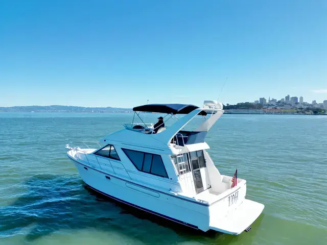 Bayliner 3988 Command Bridge