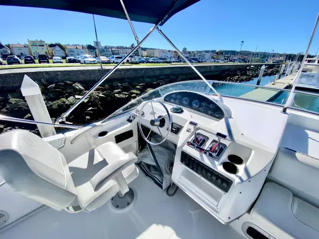 Bayliner 3988 Command Bridge