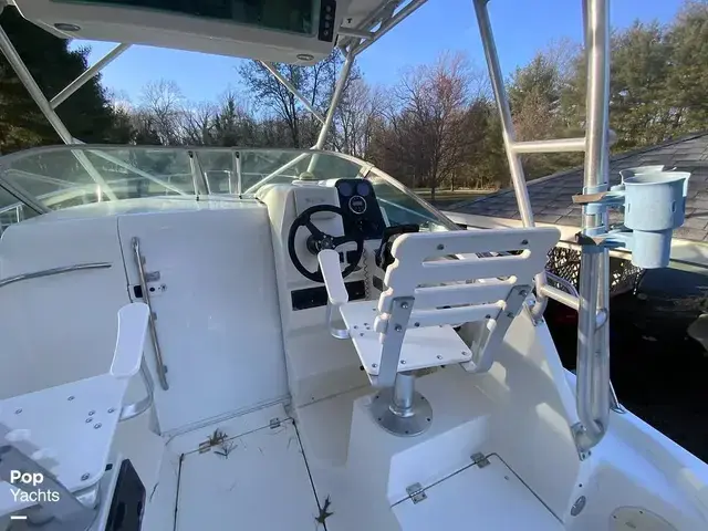 Robalo 2640 Walkaround