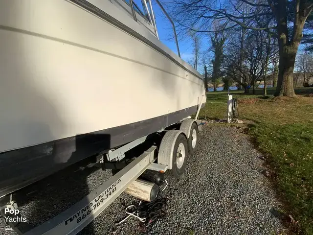 Robalo 2640 Walkaround