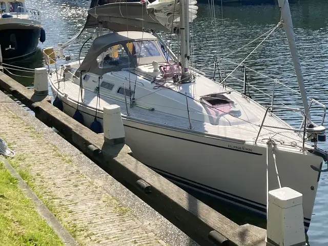 Finngulf 33