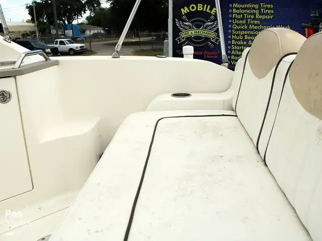 Sea Ray Sundancer 240