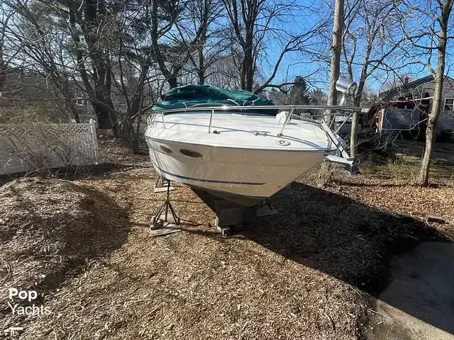 Sea Ray 280 Sun Sport