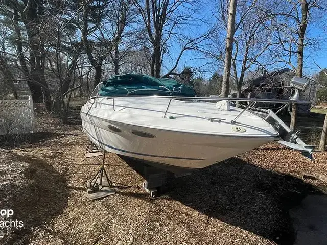 Sea Ray 280 Sun Sport