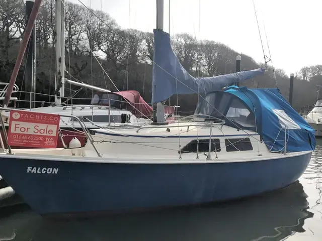 Hunter Liberty 23