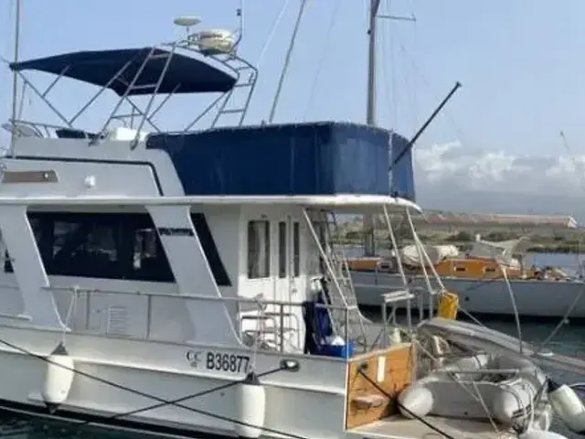 Nautica TRAWLER Europa 36