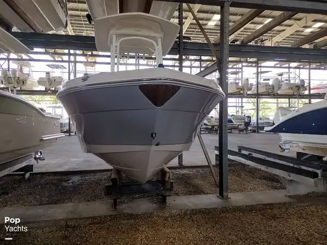 Robalo R222 EX