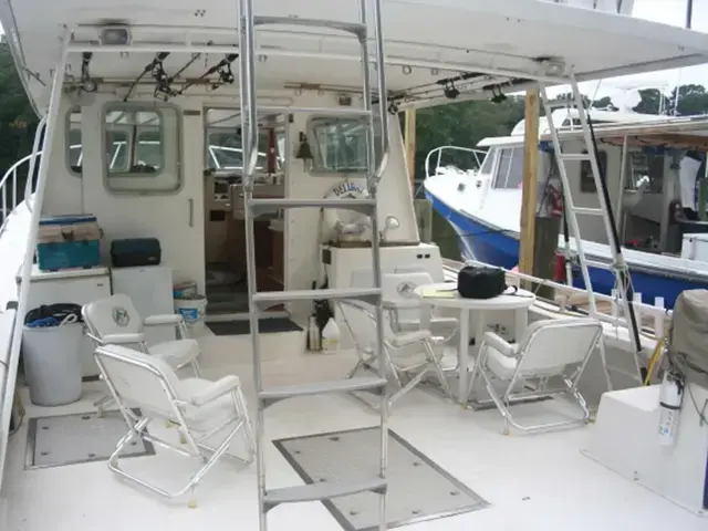 MAGNA MARINE 45 Flybridge