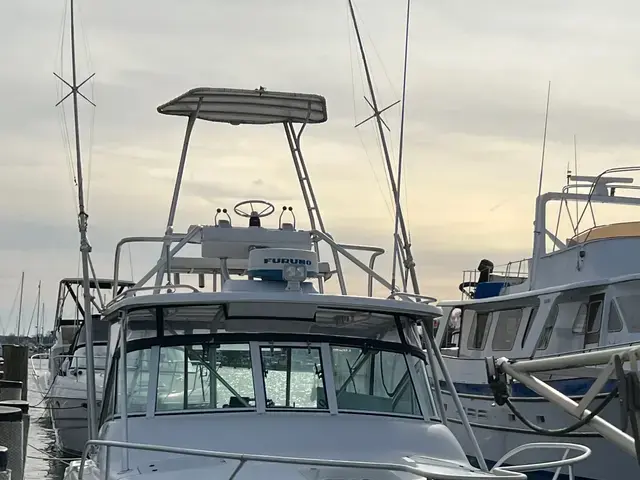 Luhrs 290 Open