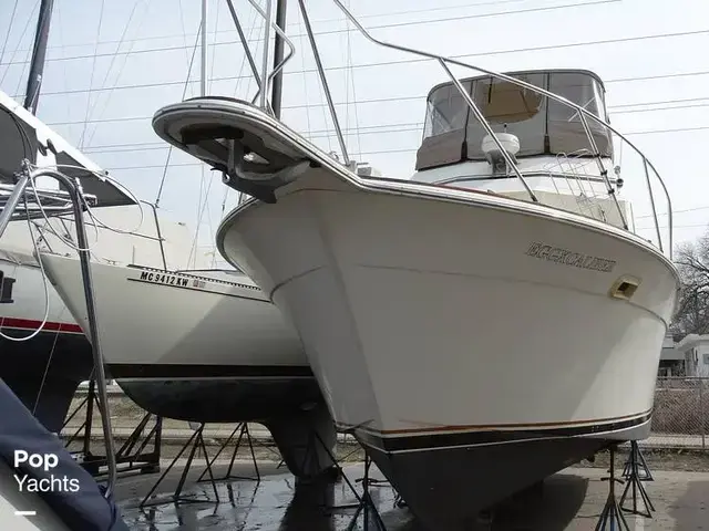 Chris Craft Catalina 350