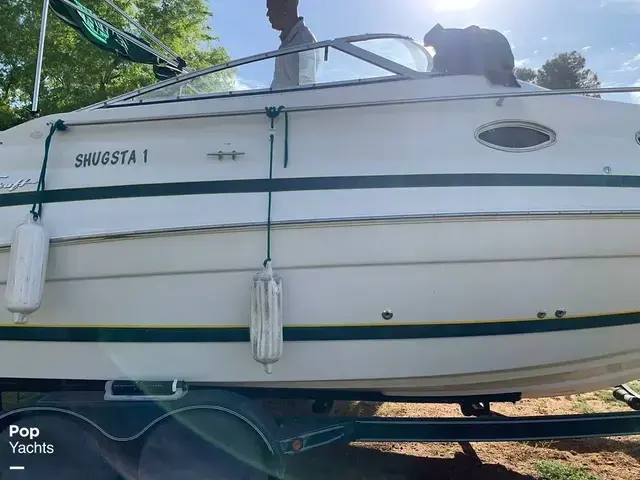 Chris Craft 240 Express Cruiser