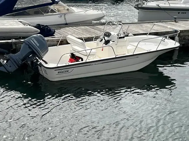 Boston Whaler 150 Montauk